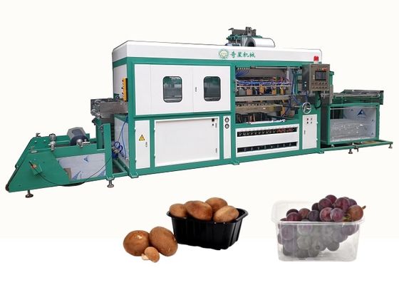 Vacuum Blister Thermoforming Machine High Speed Automatic PLC Computer Control
